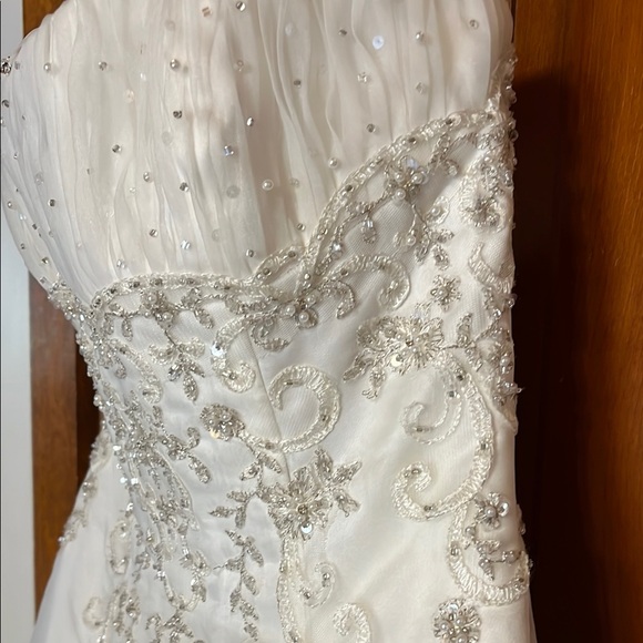 David's Bridal Ivory Wedding Dress - Picture 6 of 14